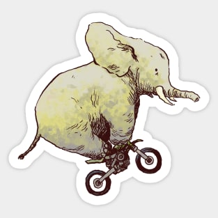 Elephant Unbound Sticker